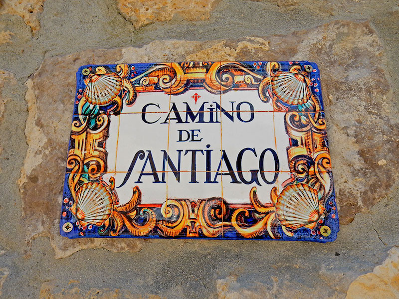 Life Gave Me Lemons, so I’m Walking the Camino de Santiago