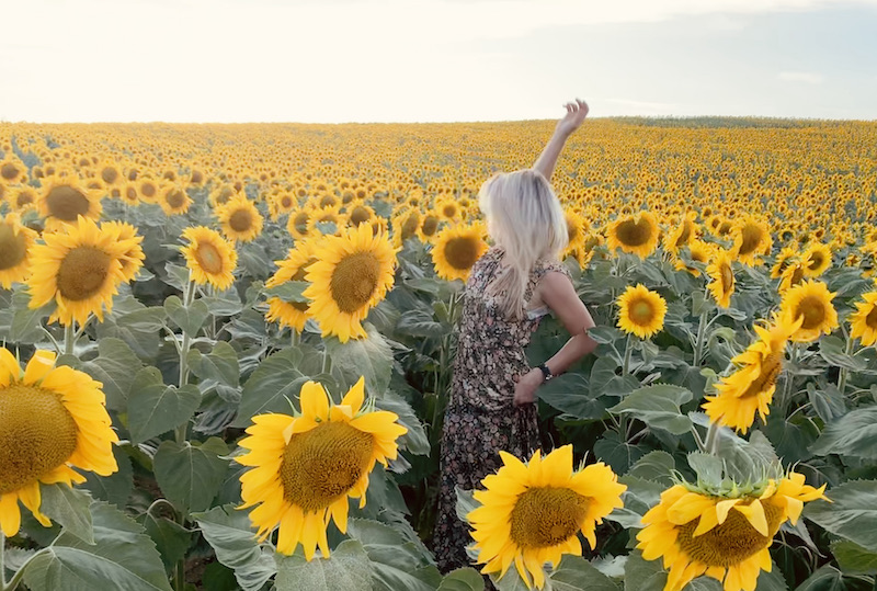 madison elyse flowers